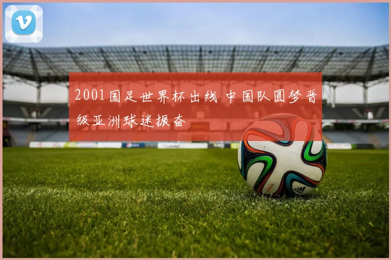 2001国足世界杯出线 中国队圆梦晋级亚洲球迷振奋