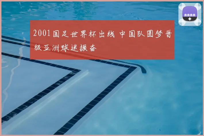 2001国足世界杯出线 中国队圆梦晋级亚洲球迷振奋